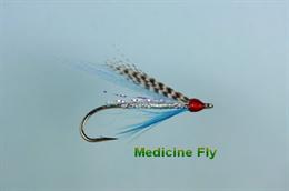 Medicine Fly